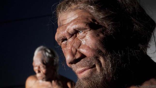 neandervolgyi