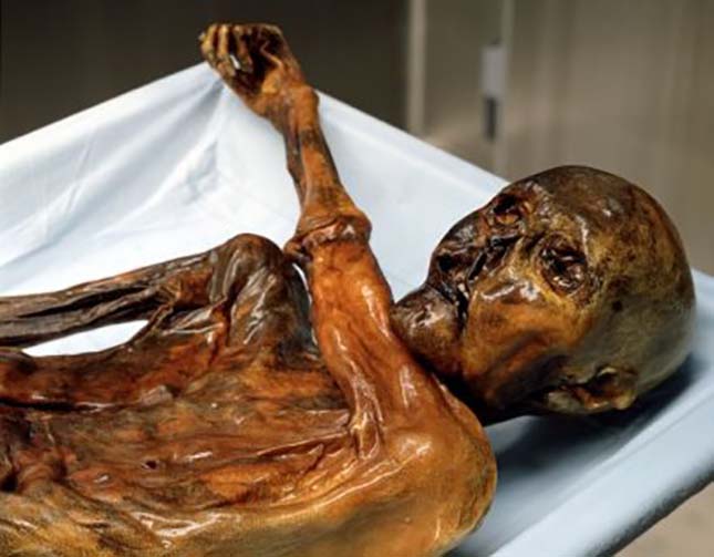 otzi-2