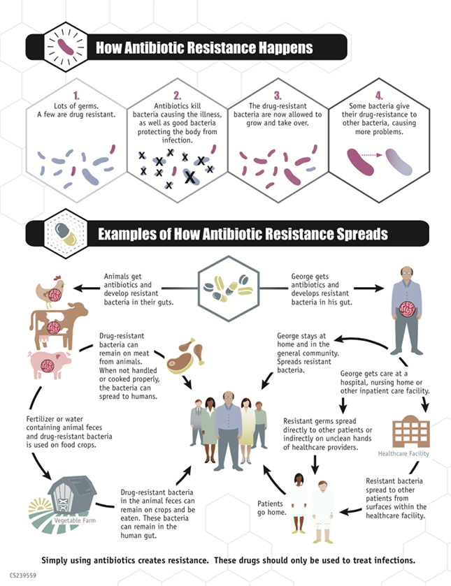 antibiotikum