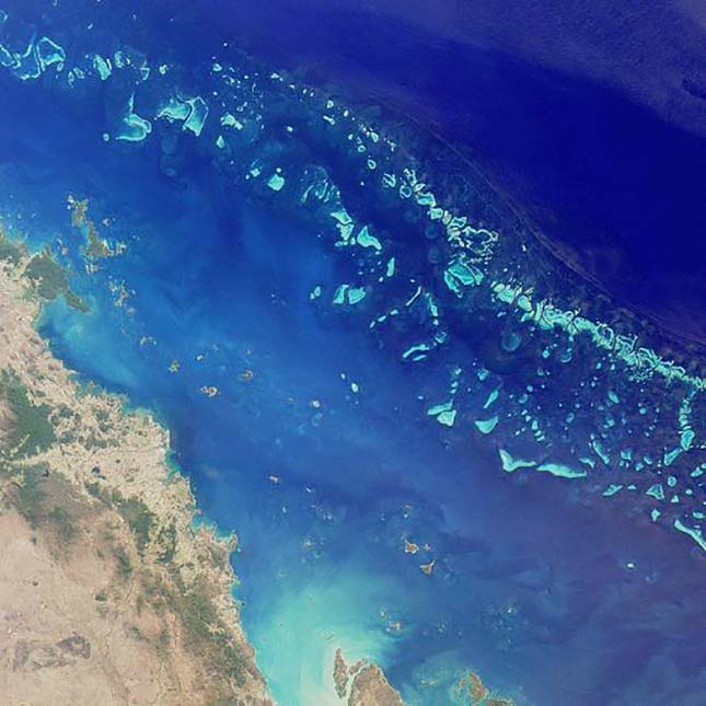 barrier-reef