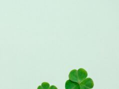 Az emberi kíváncsiság és a véletlen varázsa a mindennapokban